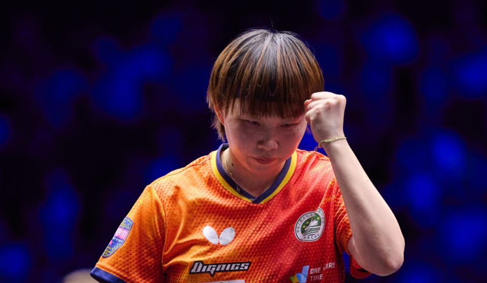 无法辩解 无法辩解