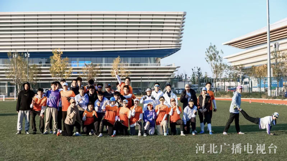 color, 团队以高度, bt